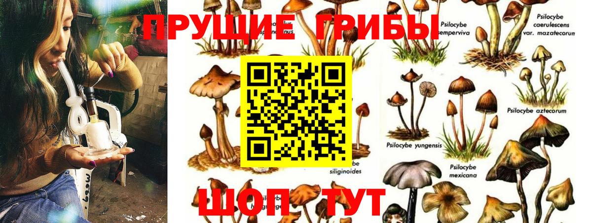 Галлюциногенные грибы Magic Shrooms Владикавказ
